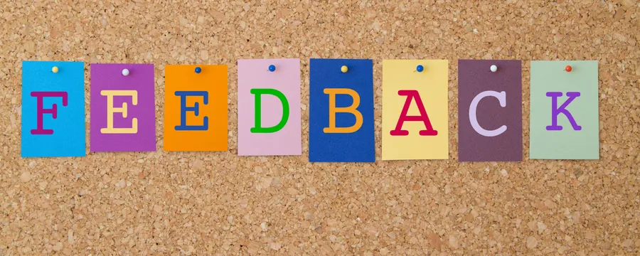 Interviews to Gather Stakeholder Feedback